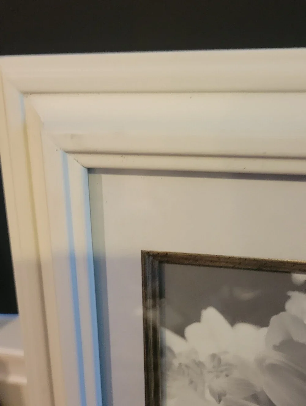 Jaclyn Smith White Frame with Gold Inner Trim